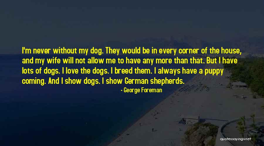 Love That Dog Quotes By George Foreman