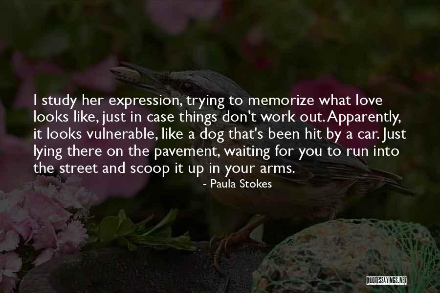 Love That Dog Quotes By Paula Stokes