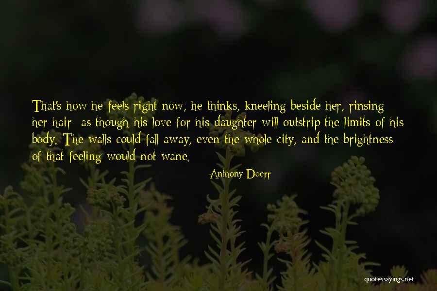 Love That Feels Right Quotes By Anthony Doerr Love That Feels Right Quotes By Anthony Doerr