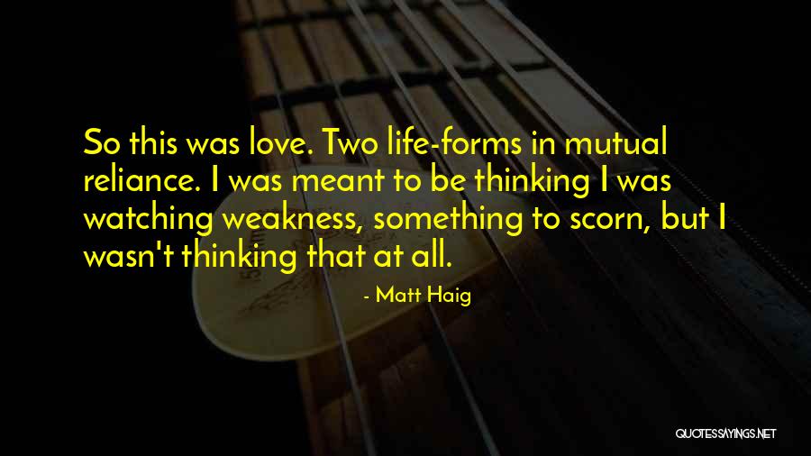 Love That Wasn't Meant To Be Quotes By Matt Haig