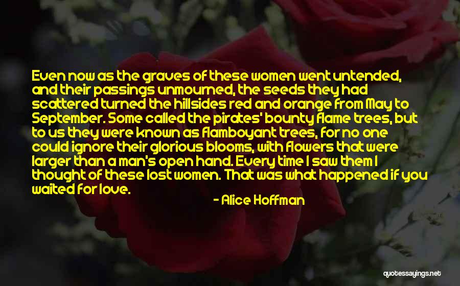 Love That's Lost Quotes By Alice Hoffman Love That's Lost Quotes By Alice Hoffman