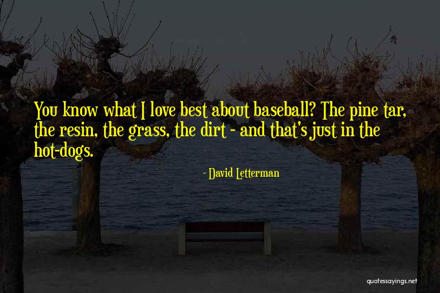 Love The Best Quotes By David Letterman