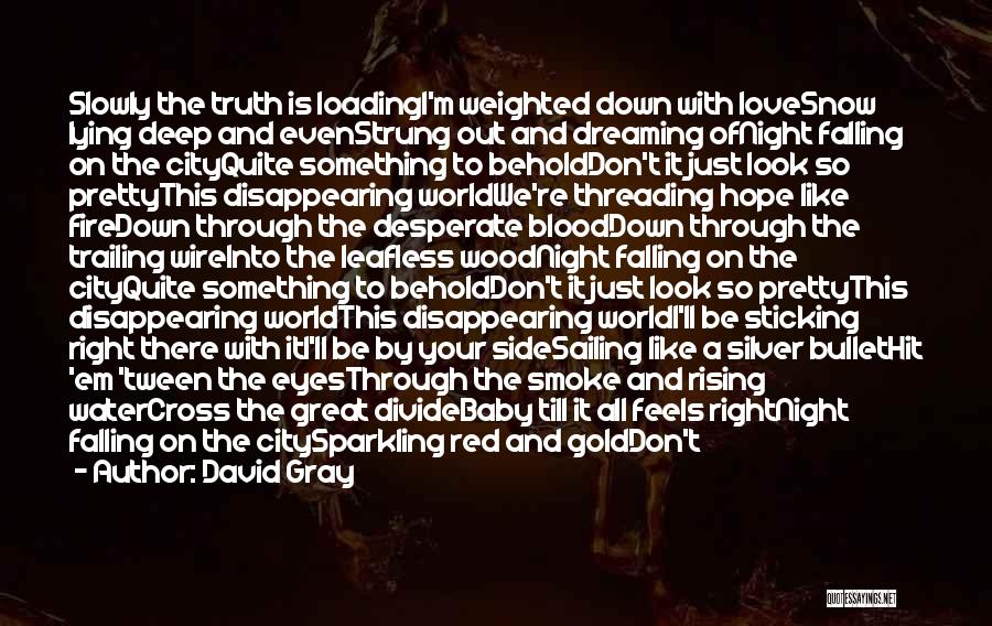 Love The Night Quotes By David Gray