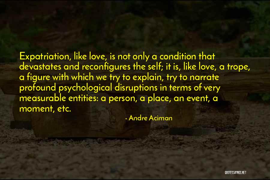 Love The Person Quotes By Andre Aciman