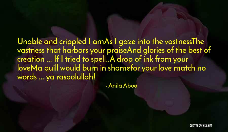 Love The Prophet Quotes By Anila Aboo