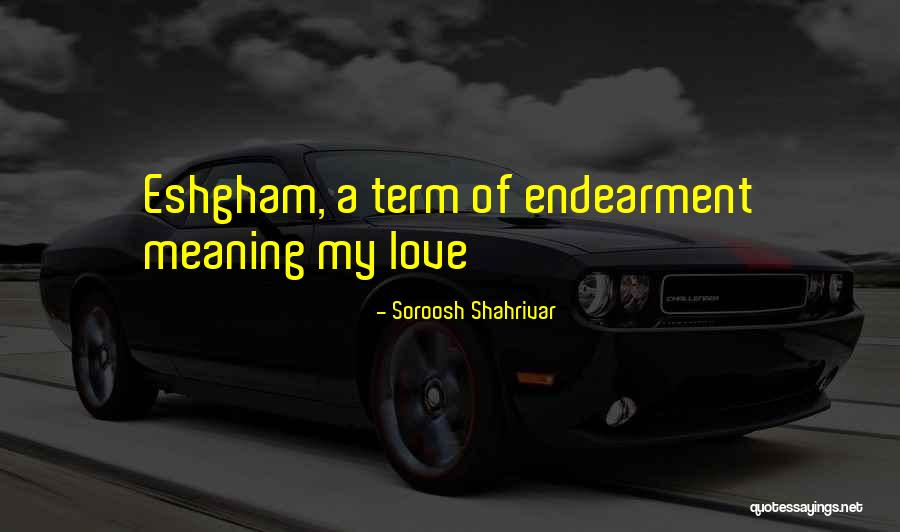 Love The Rise Of Shams Quotes By Soroosh Shahrivar Love The Rise Of Shams Quotes By Soroosh Shahrivar
