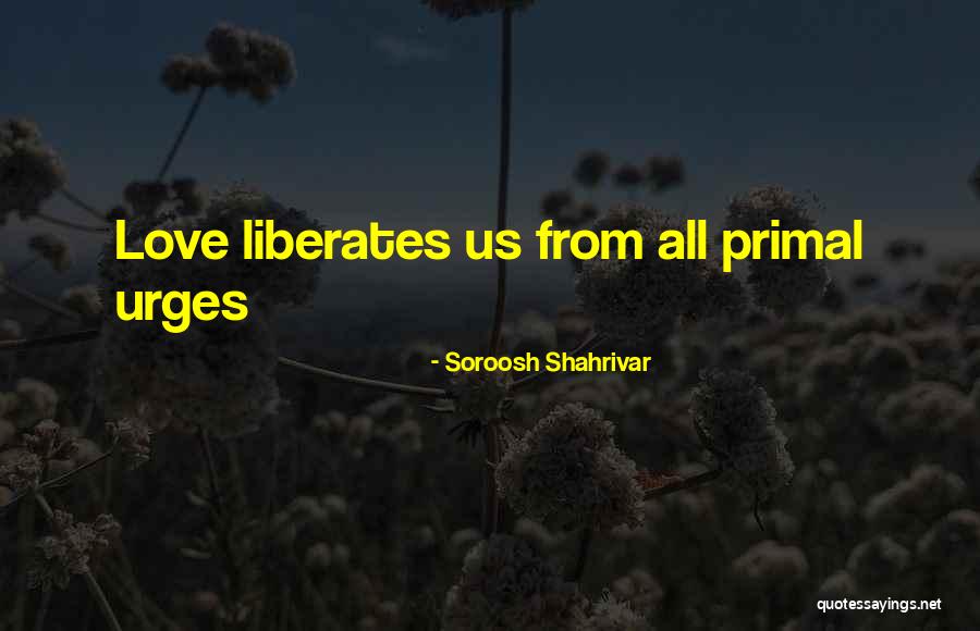 Love The Rise Of Shams Quotes By Soroosh Shahrivar Love The Rise Of Shams Quotes By Soroosh Shahrivar