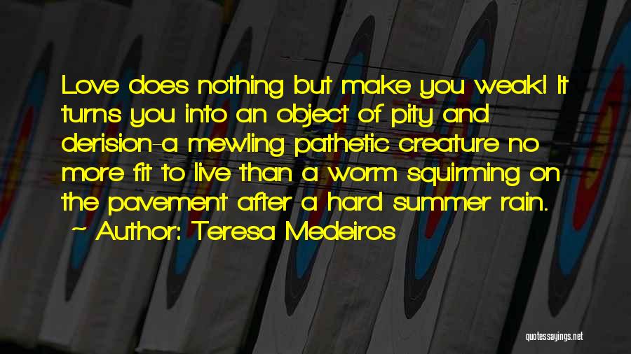 Love The Summer Quotes By Teresa Medeiros