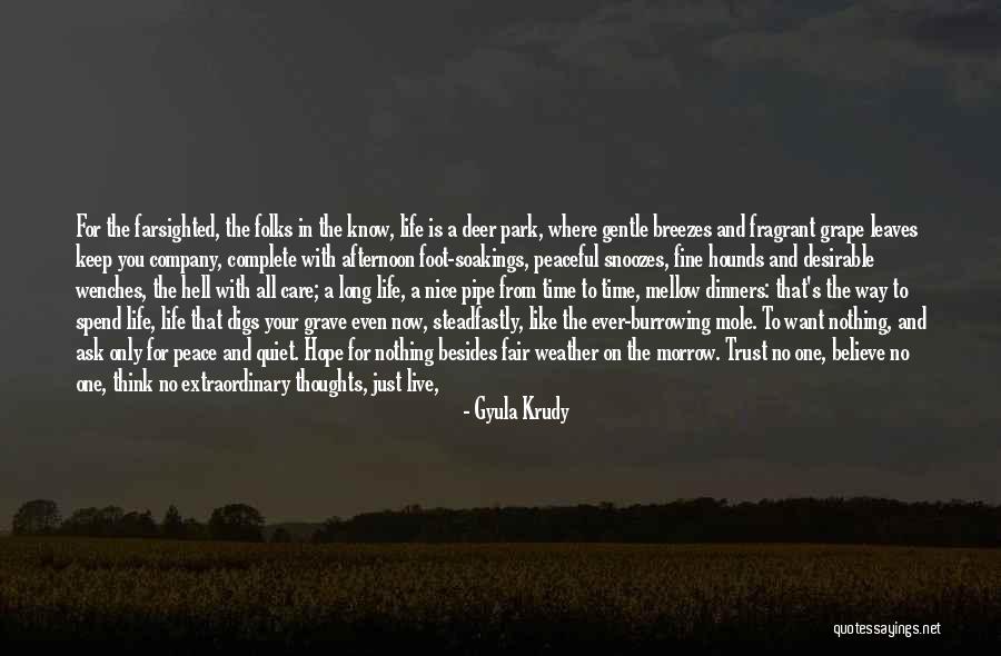 Love The Way You Care Quotes By Gyula Krudy Love The Way You Care Quotes By Gyula Krudy