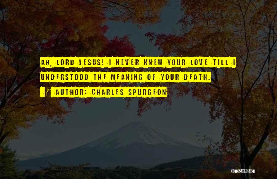 Love Till Death Quotes By Charles Spurgeon