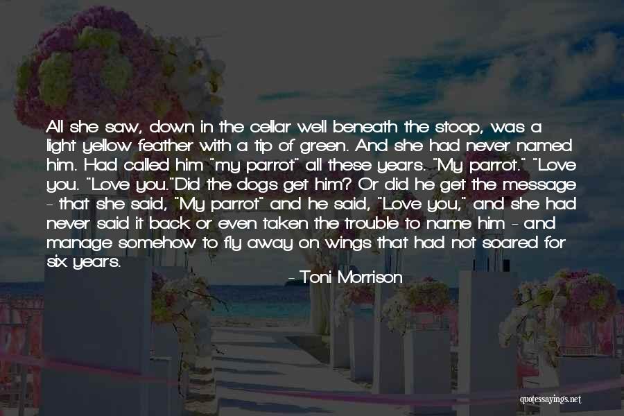 Love Tip Quotes By Toni Morrison Love Tip Quotes By Toni Morrison