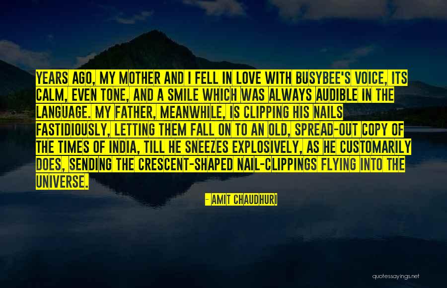 Love To A Mother Quotes By Amit Chaudhuri