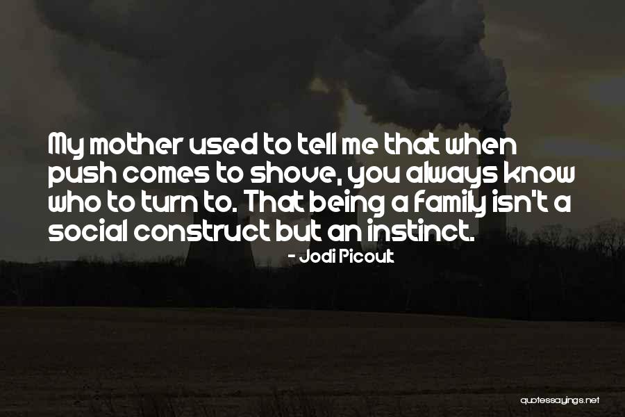 Love To A Mother Quotes By Jodi Picoult