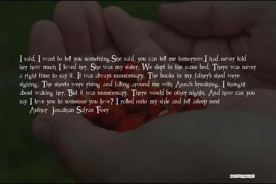 Love To A Sister Quotes By Jonathan Safran Foer