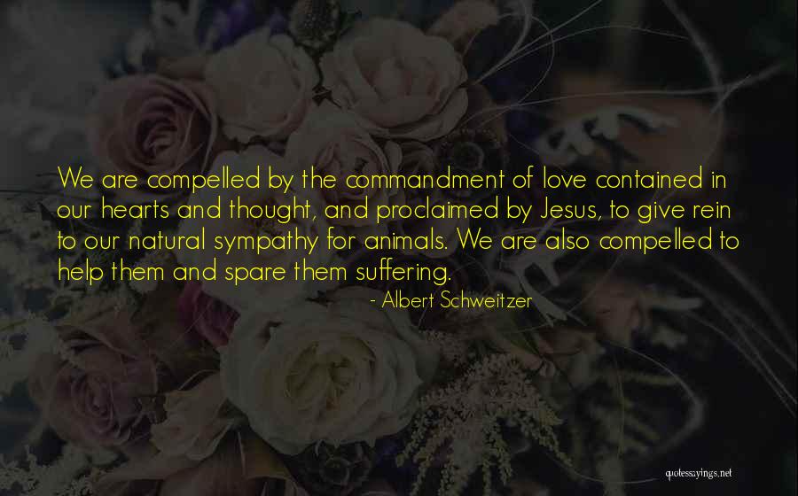 Love To Animals Quotes By Albert Schweitzer Love To Animals Quotes By Albert Schweitzer