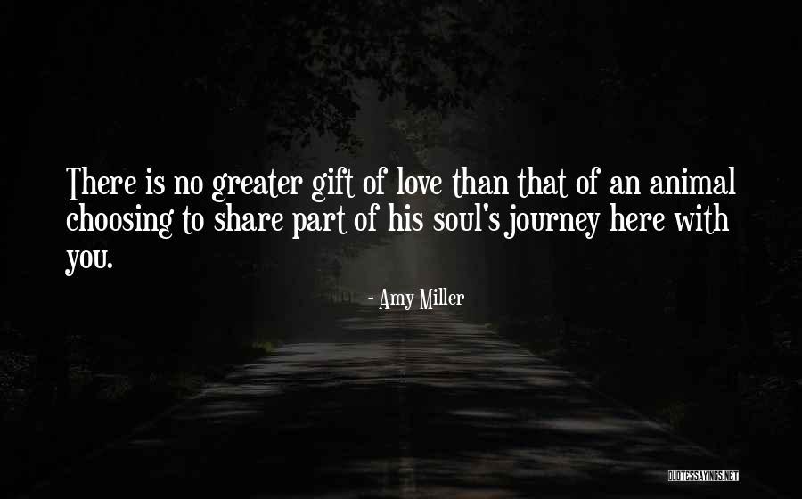 Love To Animals Quotes By Amy Miller Love To Animals Quotes By Amy Miller