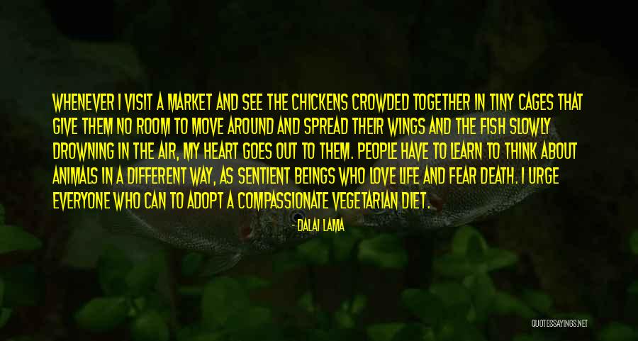 Love To Animals Quotes By Dalai Lama Love To Animals Quotes By Dalai Lama