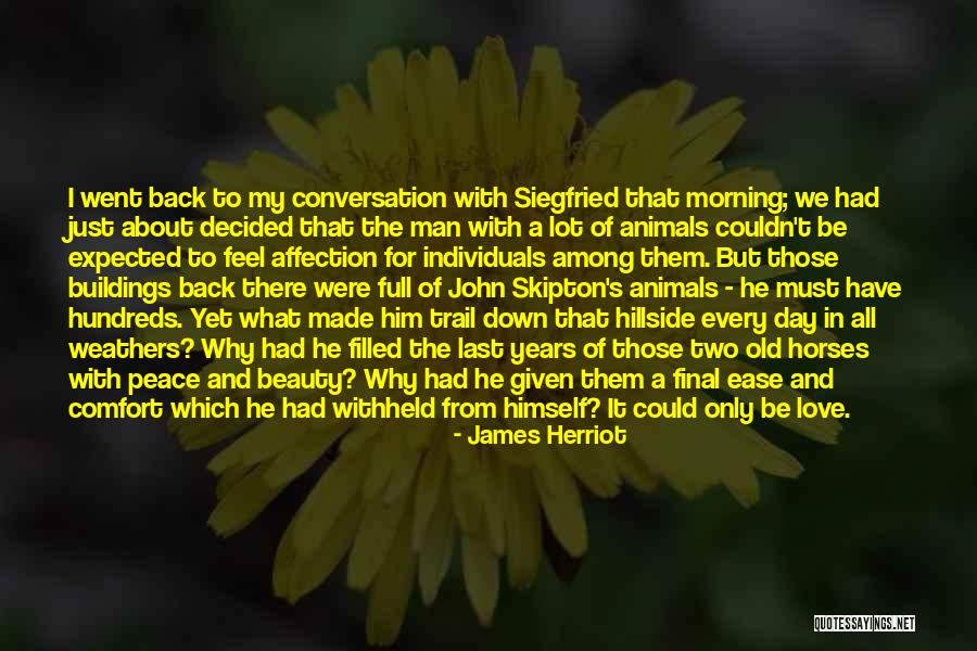 Love To Animals Quotes By James Herriot Love To Animals Quotes By James Herriot