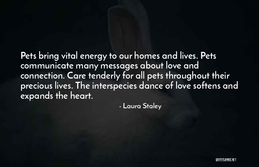 Love To Animals Quotes By Laura Staley Love To Animals Quotes By Laura Staley