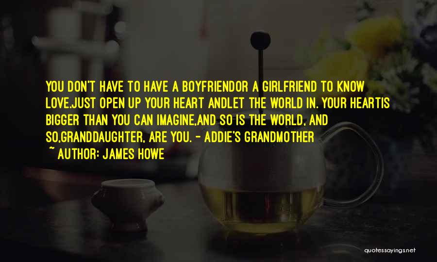 Love To Boyfriend Quotes By James Howe