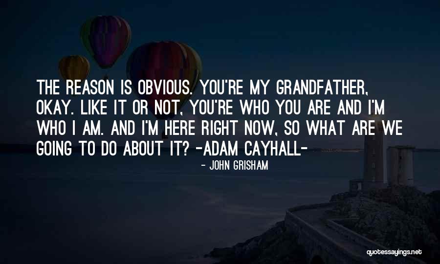 Love To Family Quotes By John Grisham