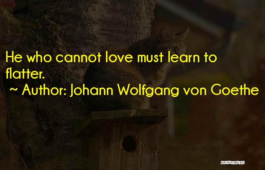 Love To Learn Quotes By Johann Wolfgang Von Goethe