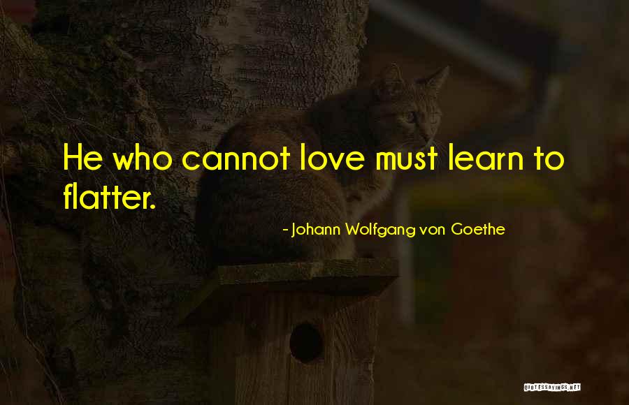 Love To Learn Quotes By Johann Wolfgang Von Goethe