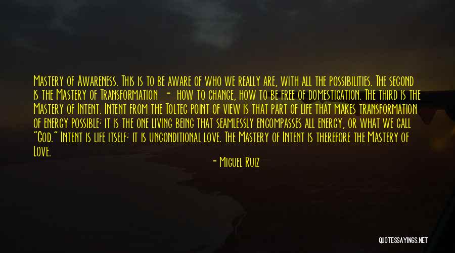 Love Transformation Quotes By Miguel Ruiz Love Transformation Quotes By Miguel Ruiz