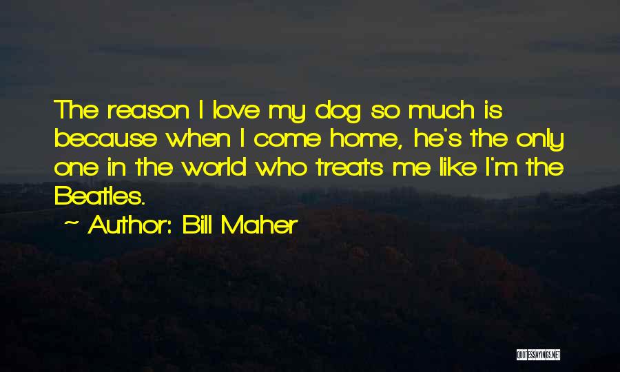 Love Treats Quotes By Bill Maher