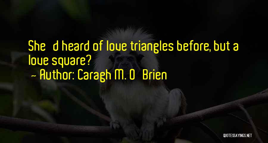 Love Triangles Quotes By Caragh M. O'Brien