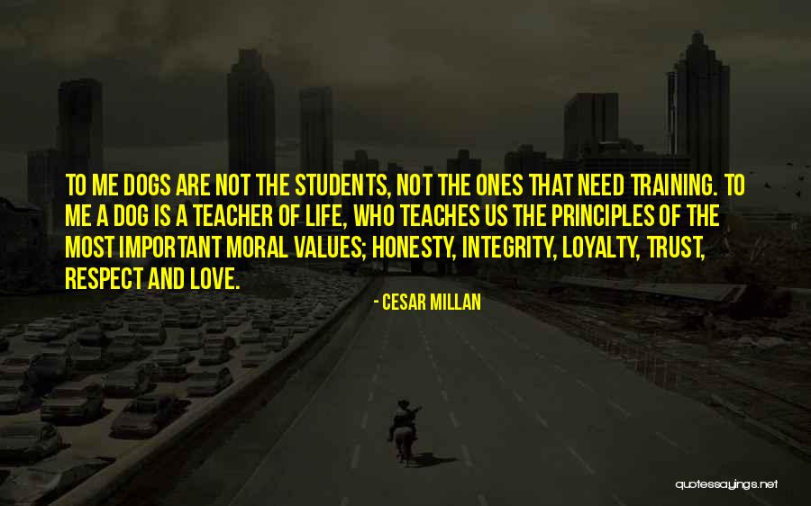 Love Trust And Honesty Quotes By Cesar Millan Love Trust And Honesty Quotes By Cesar Millan
