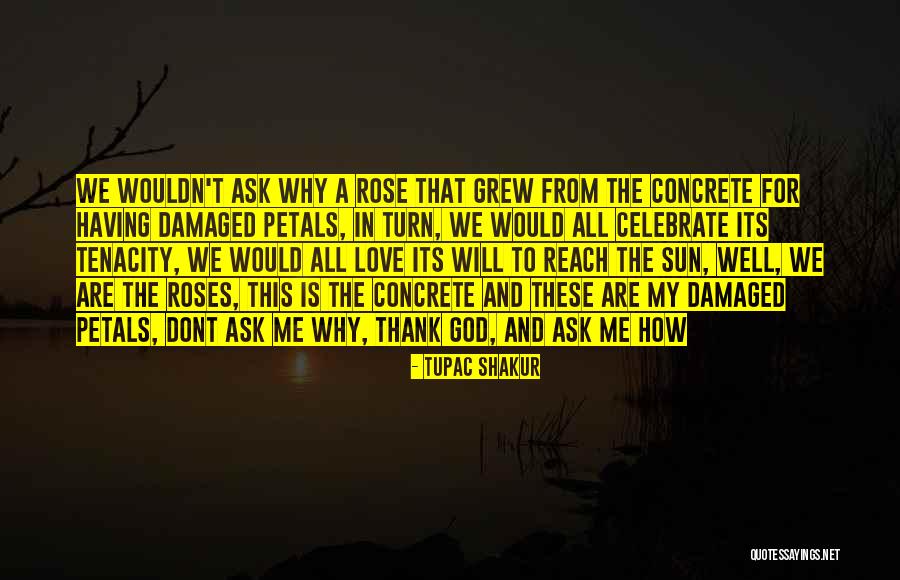 Love Tupac Quotes By Tupac Shakur