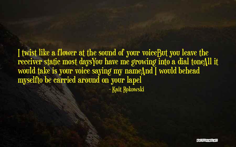 Love Twist Quotes By Kait Rokowski