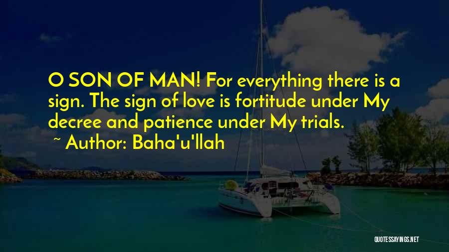 Love U My Man Quotes By Baha'u'llah