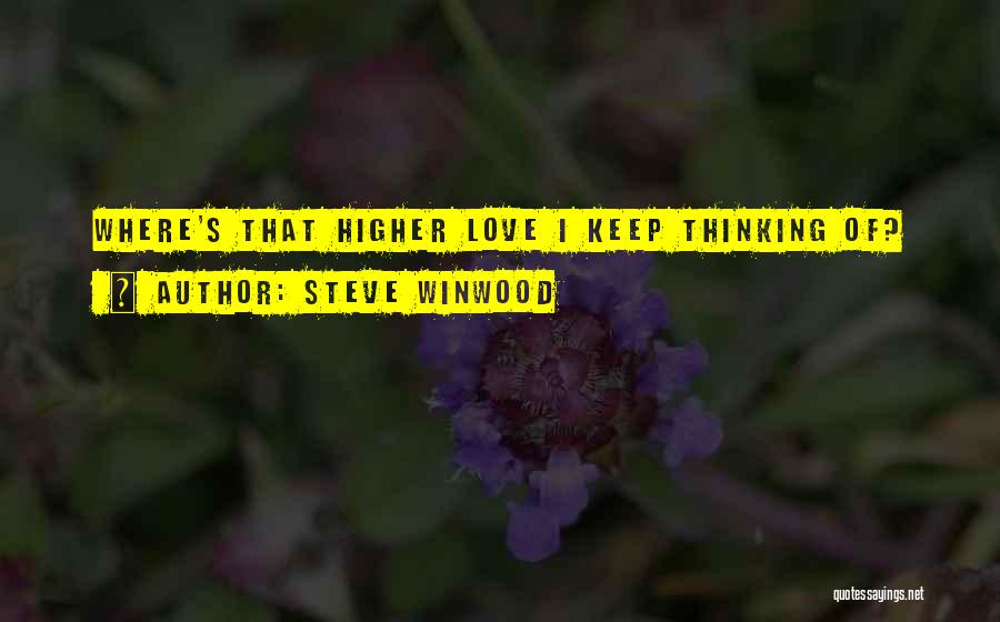 Love Unanswered Quotes By Steve Winwood