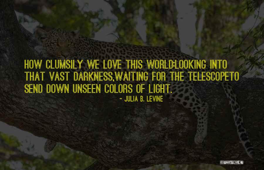 Love Unseen Quotes By Julia B. Levine