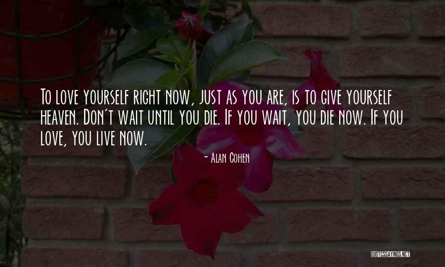 Love Until Die Quotes By Alan Cohen Love Until Die Quotes By Alan Cohen