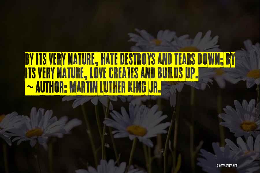 Love Up And Down Quotes By Martin Luther King Jr.