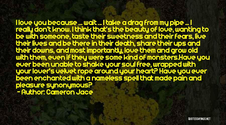 Love Ups And Downs Quotes By Cameron Jace