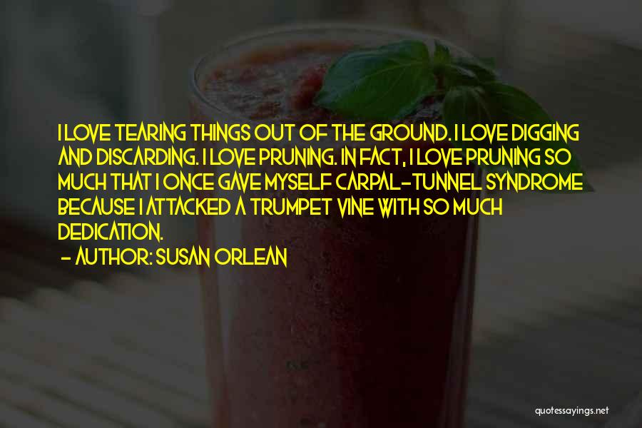Love Vine Quotes By Susan Orlean