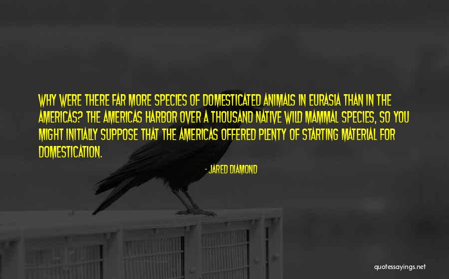 Love Vk Quotes By Jared Diamond Love Vk Quotes By Jared Diamond