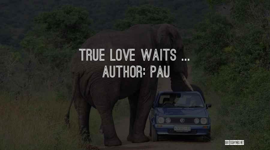 Love Waits Quotes By Pau