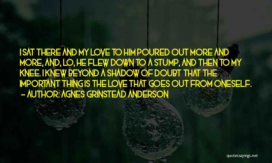 Love Walter Anderson Quotes By Agnes Grinstead Anderson