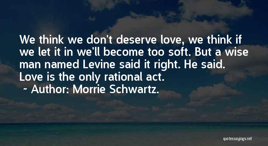 Love We Deserve Quotes By Morrie Schwartz.