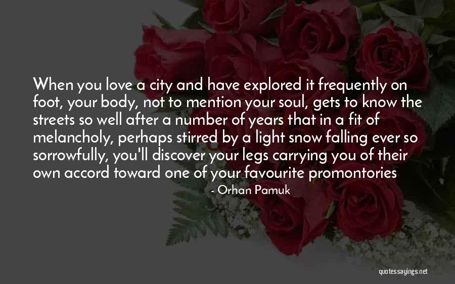 Love Well Quotes By Orhan Pamuk