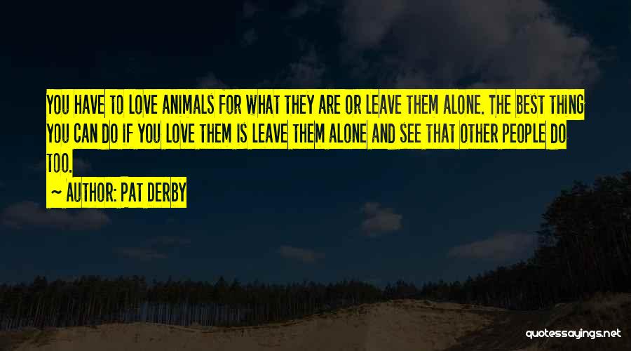 Love What You See Quotes By Pat Derby