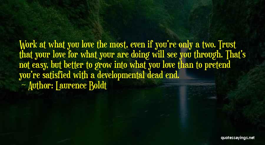 Love What You're Doing Quotes By Laurence Boldt