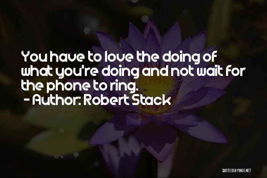 Love What You're Doing Quotes By Robert Stack