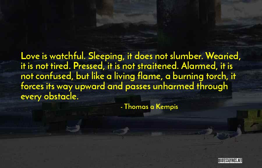 Love Who Is Confused Quotes By Thomas A Kempis