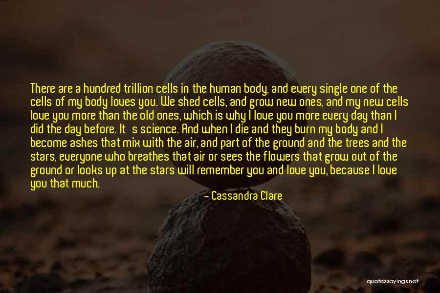 Love Will Grow Quotes By Cassandra Clare Love Will Grow Quotes By Cassandra Clare